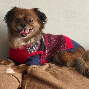 Meet your Posher, Rudy